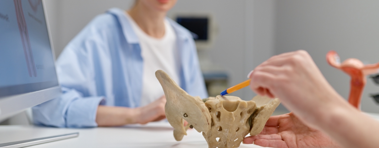 Pelvic Floor Therapy